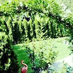 Flamind Mit Garten Und Grill * Altenberg bei Linz