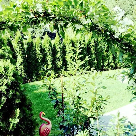 Flamind Mit Garten Und Grill * Altenberg bei Linz