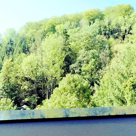 Flamind Mit Garten Und Grill Altenberg bei Linz