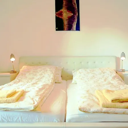 Flamind Mit Garten Und Grill דירה