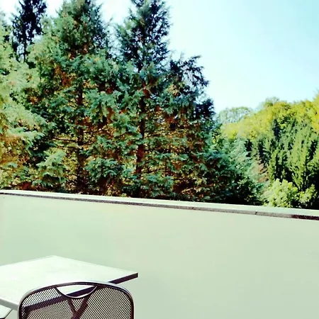 Flamind Mit Garten Und Grill Daire Altenberg bei Linz